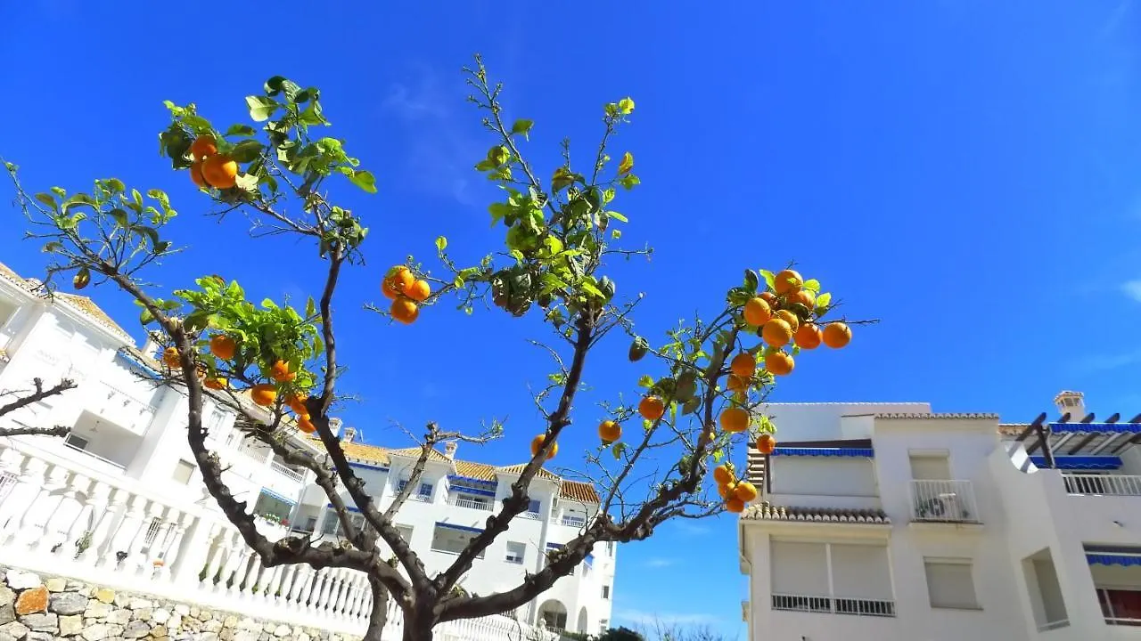 R1320 - Las Fuentes Apartment Nerja